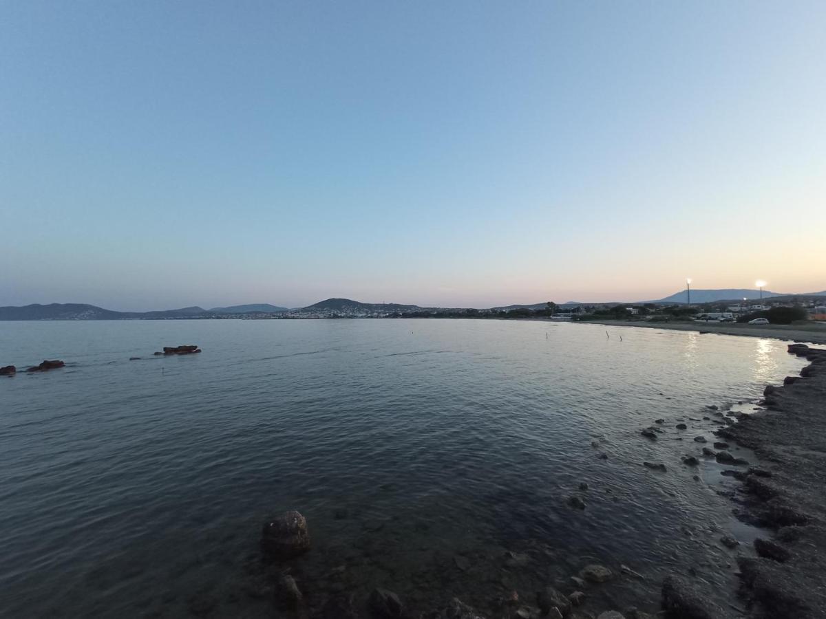 Flat With Garden Near Sea, Port And Airport Daire Artemida  Dış mekan fotoğraf