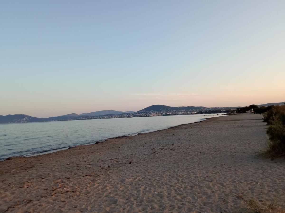 Flat With Garden Near Sea, Port And Airport Daire Artemida  Dış mekan fotoğraf